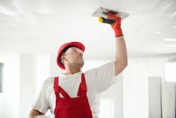 Best Ceiling Drywall Installation  in Woodworth, LA